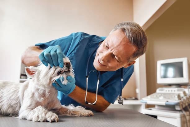 Best Emergency Dental Surgery in Newark, TX